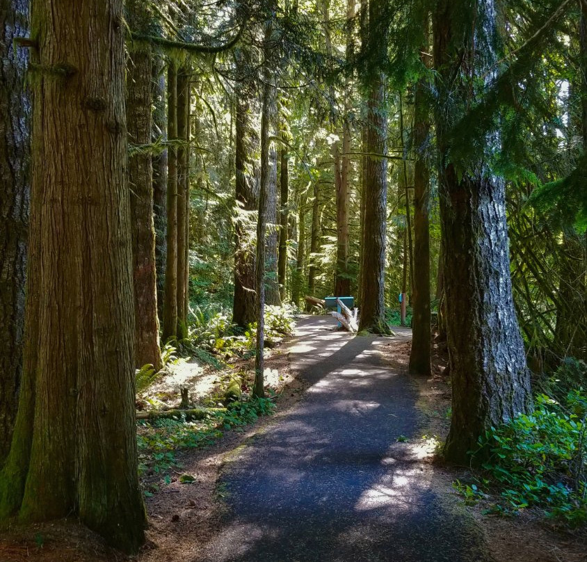 Wildwood Recreation Site-Welches必去景点