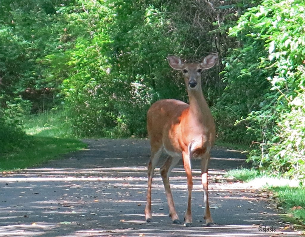 Allegany River Valley Trail-Allegany必去景点