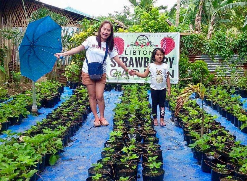 Libtong Strawberry Garden-Naval必去景点