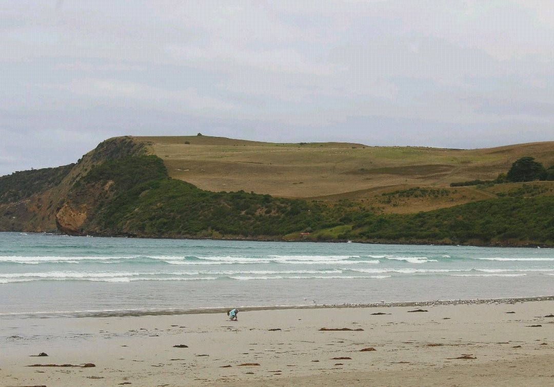Discovery Bay Coastal Park景点图片