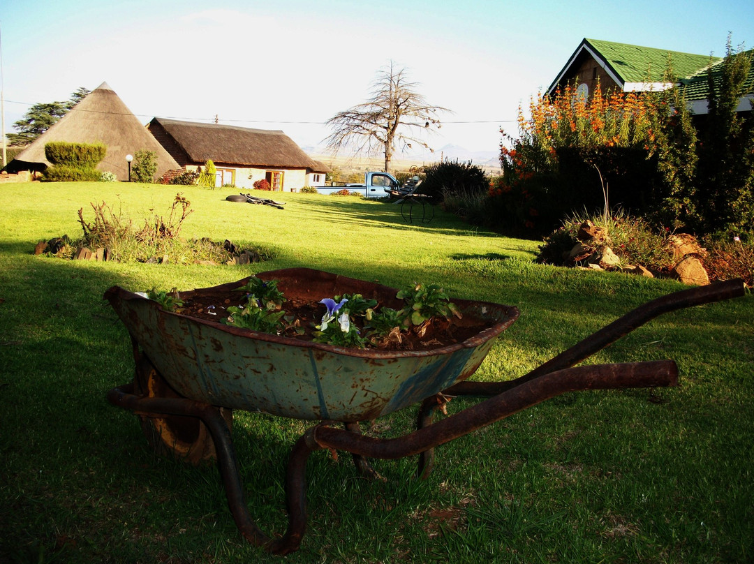 Bird Haven Guesthouse主图