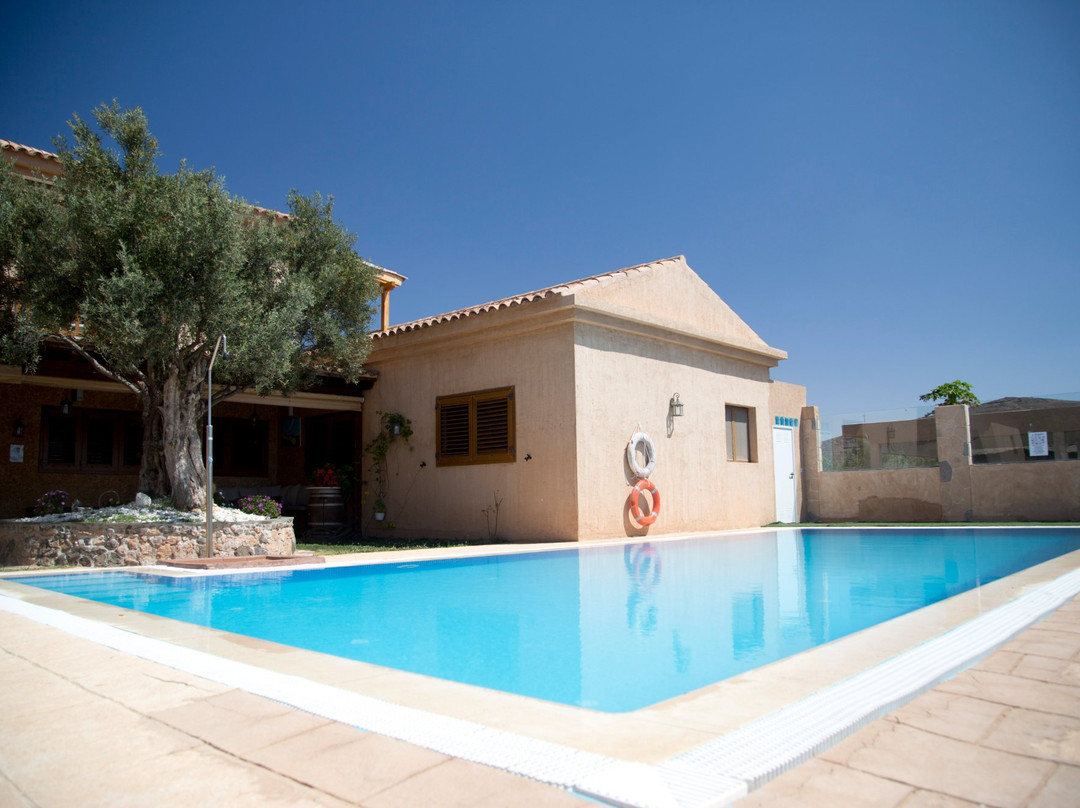 El Olivar