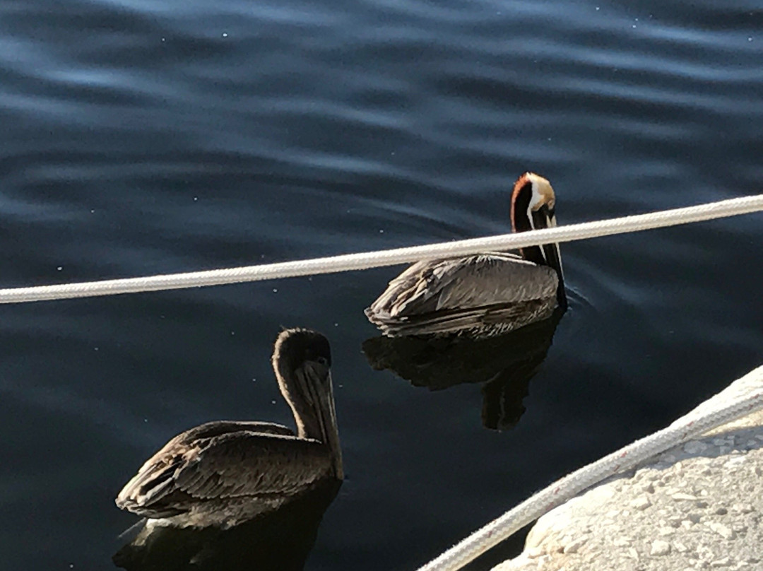 Wine at the Docks-塔彭斯普林斯必去景点