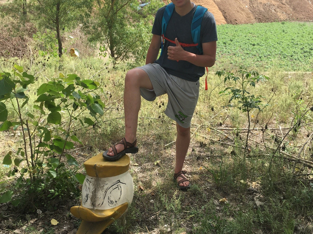 金鹭鸵鸟园-郑州市必去景点