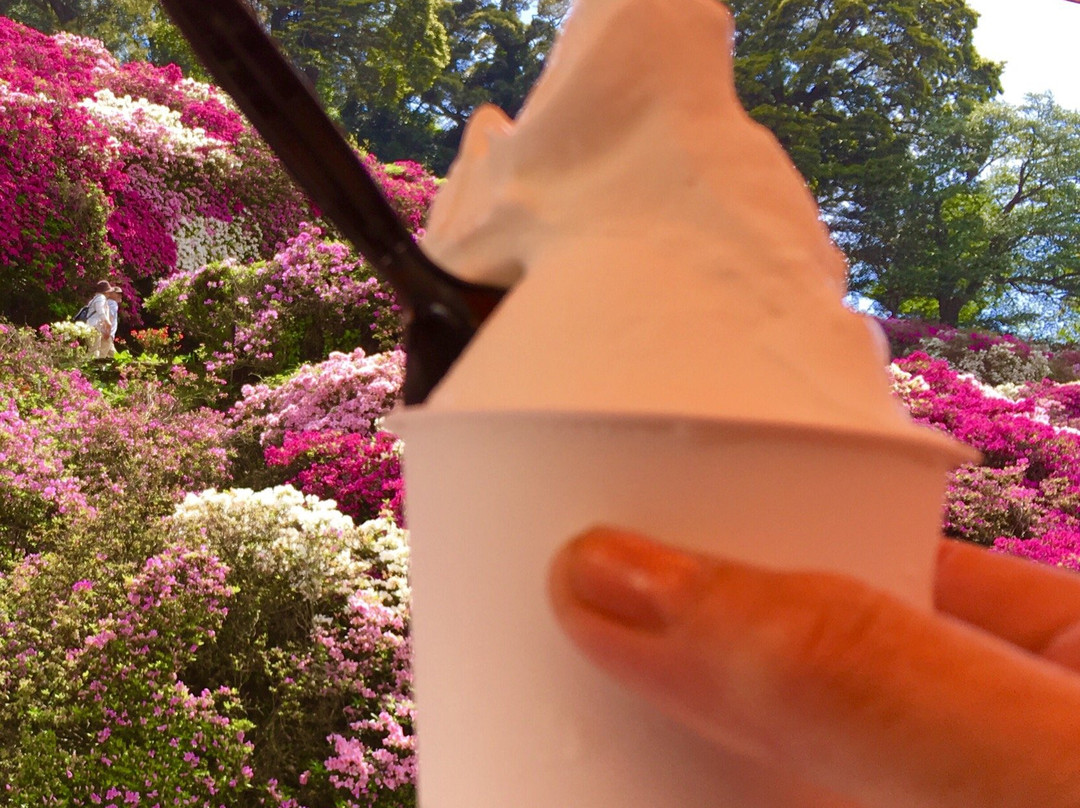 滨田市餐馆和美食-Kaede Gelato
