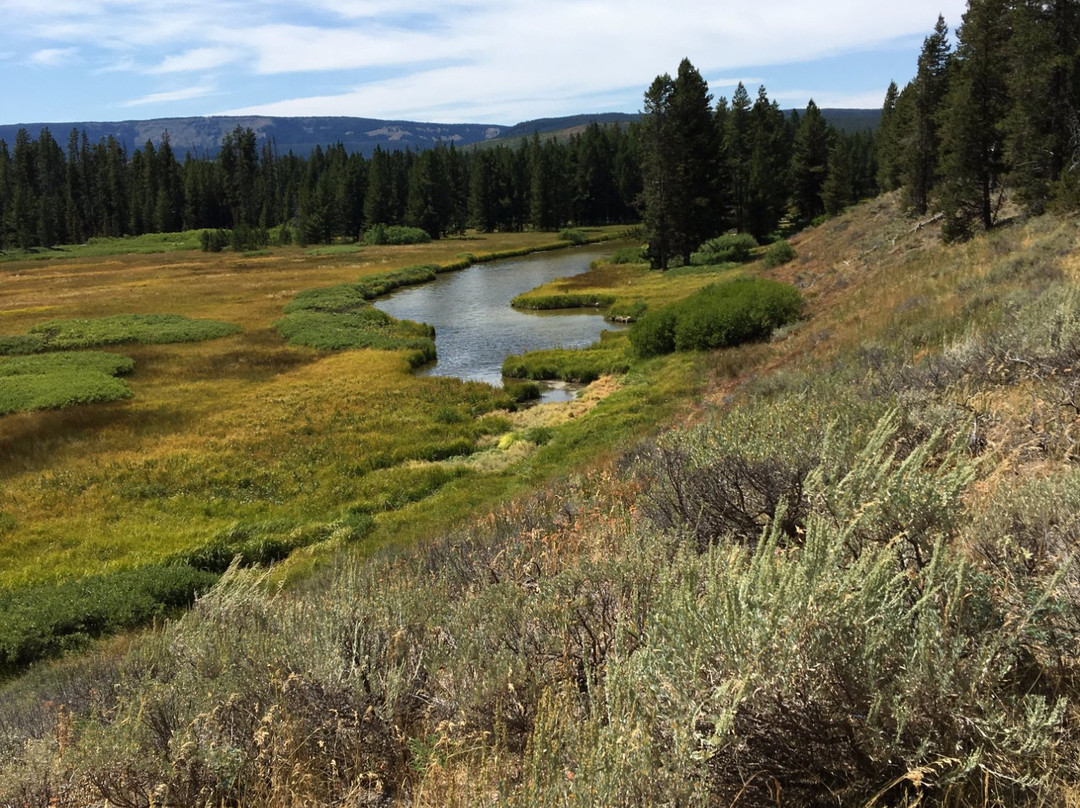 Polecat Creek Loop Trail景点图片