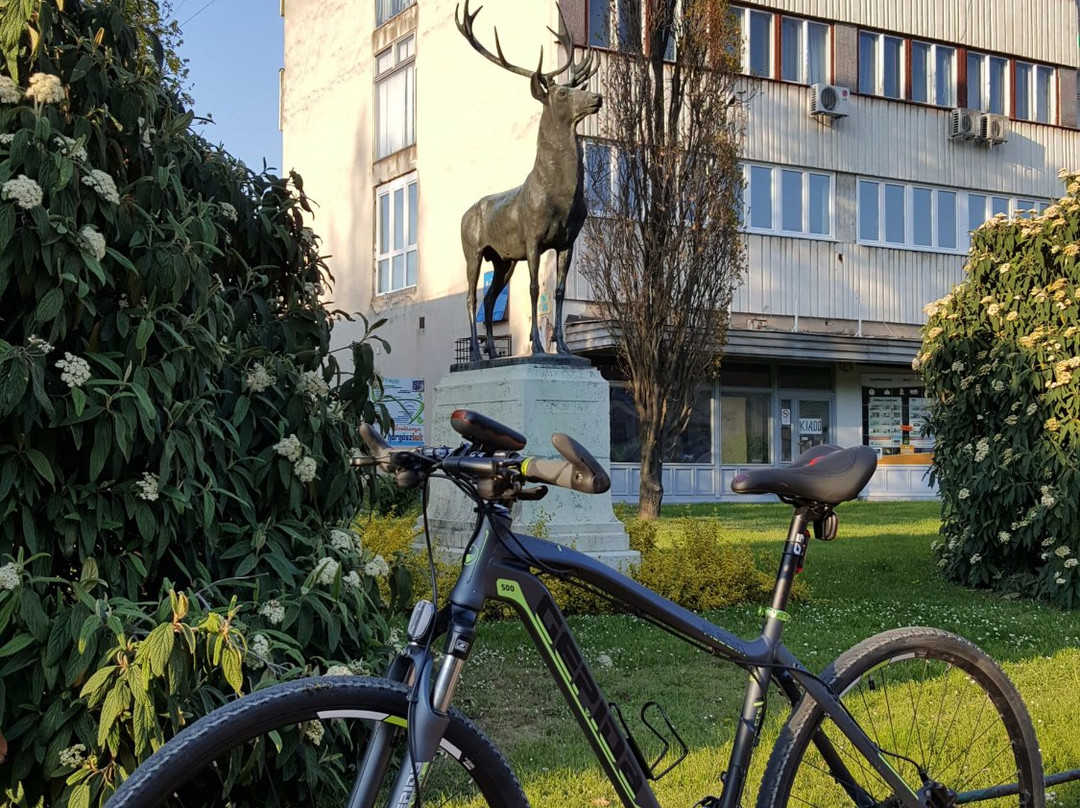 Stag Statue景点图片
