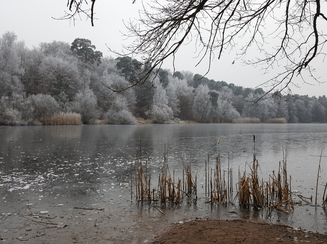 Naturschutzgebiet Vogelwoog-Schmalzwoog景点图片
