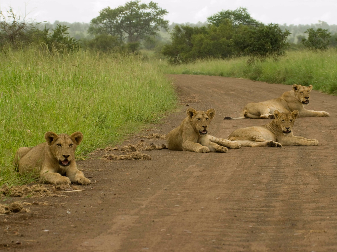 Little 5 Safaris-霍德斯普鲁特必去景点