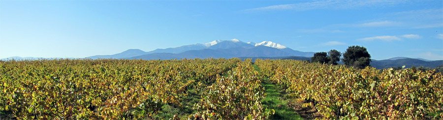 Domaine Saqué景点图片