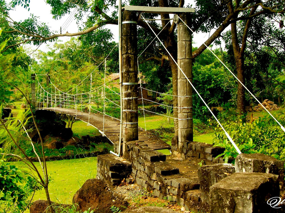 Khu Du Lich Sinh Thai Cao Minh景点图片