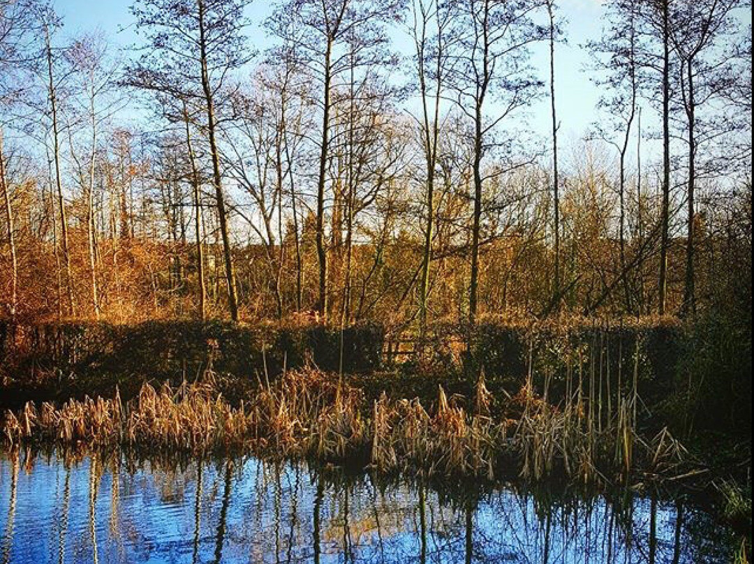 Sandbach Park-Sandbach必去景点