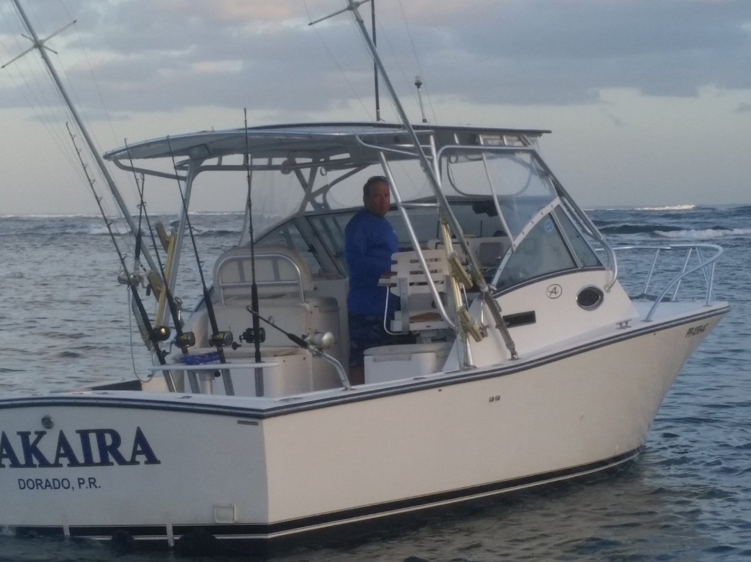Puerto Rico Sportfishing Charters-多拉多必去景点