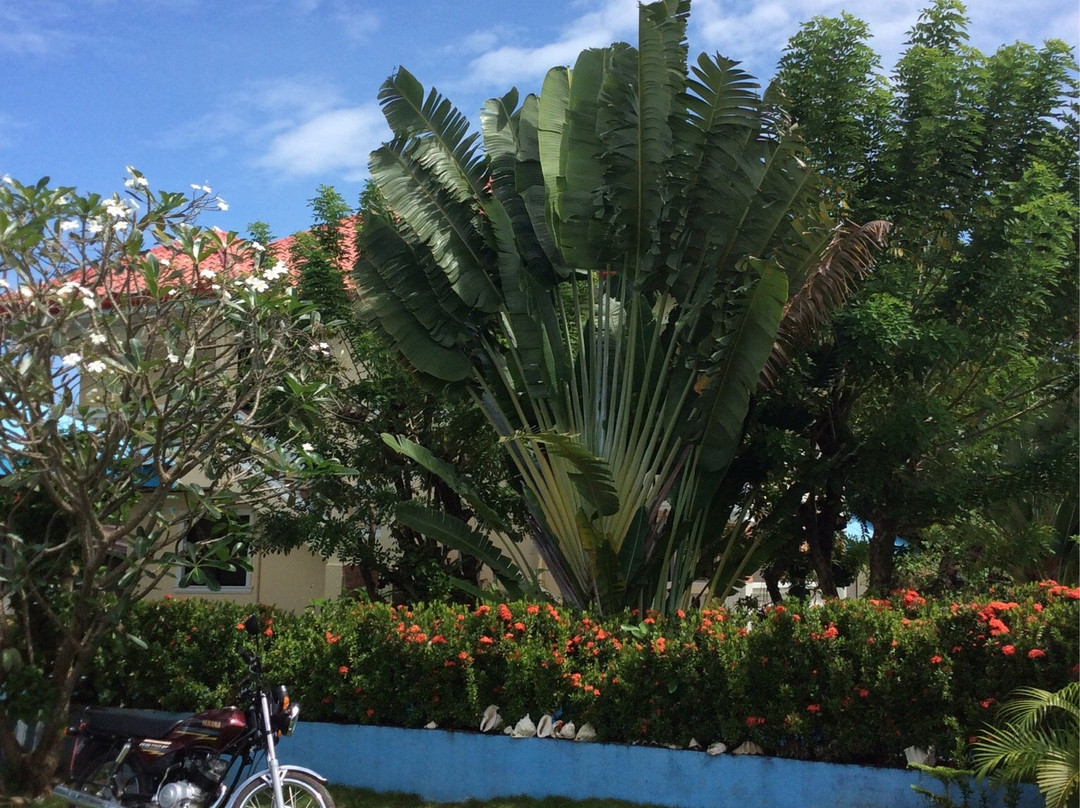 Looc Garden Beach Resort主图