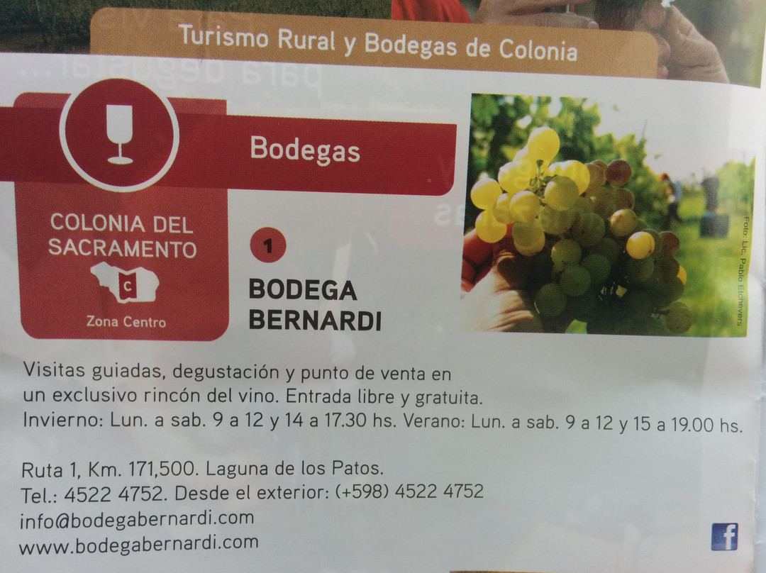 Bernardi Winery-科洛尼亚·德尔萨克拉门托城必去景点