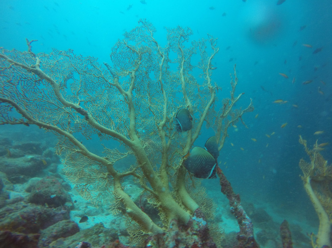 Scuba Weh-韦岛必去景点