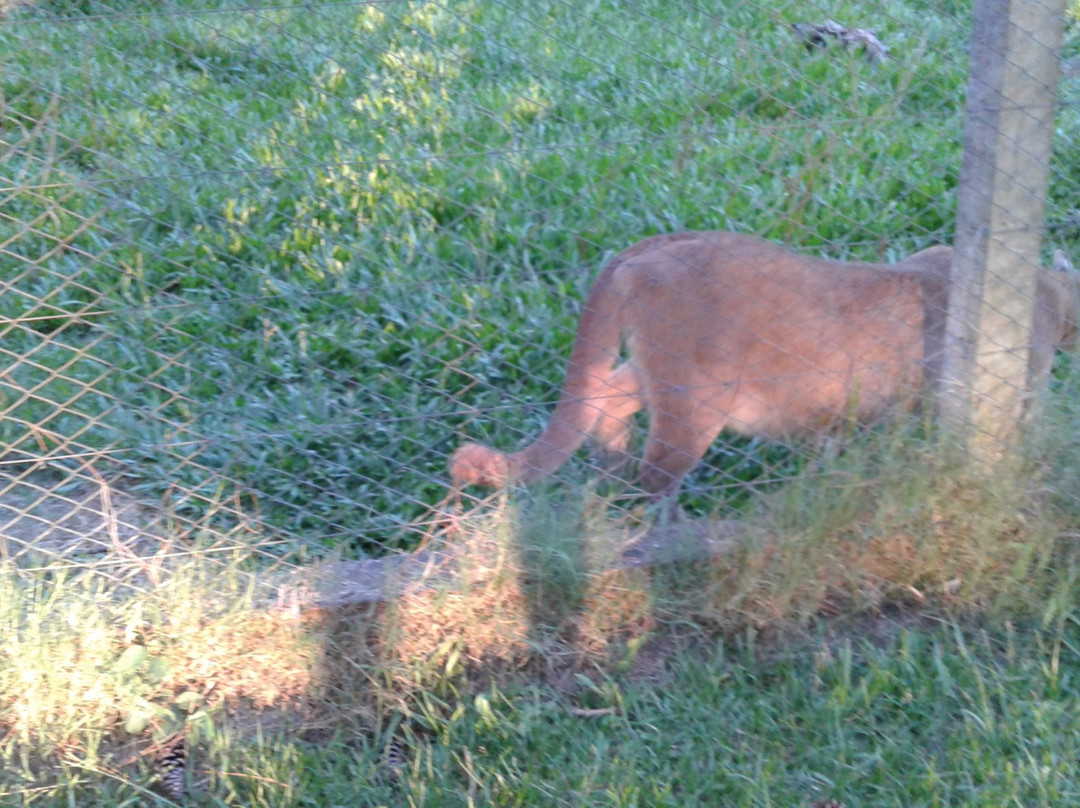 Piedra Pintada-Artigas必去景点