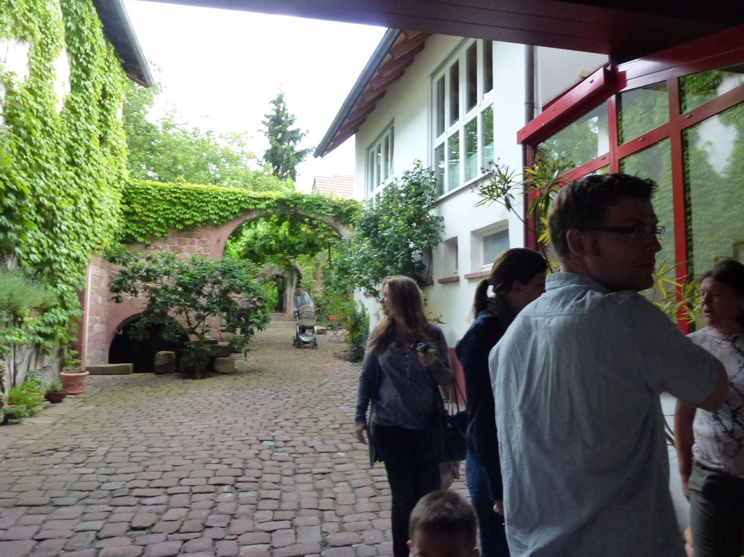 Rhodter Adler GmbH主图