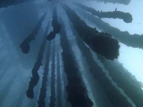 Haliotis Porto-马托西纽什必去景点