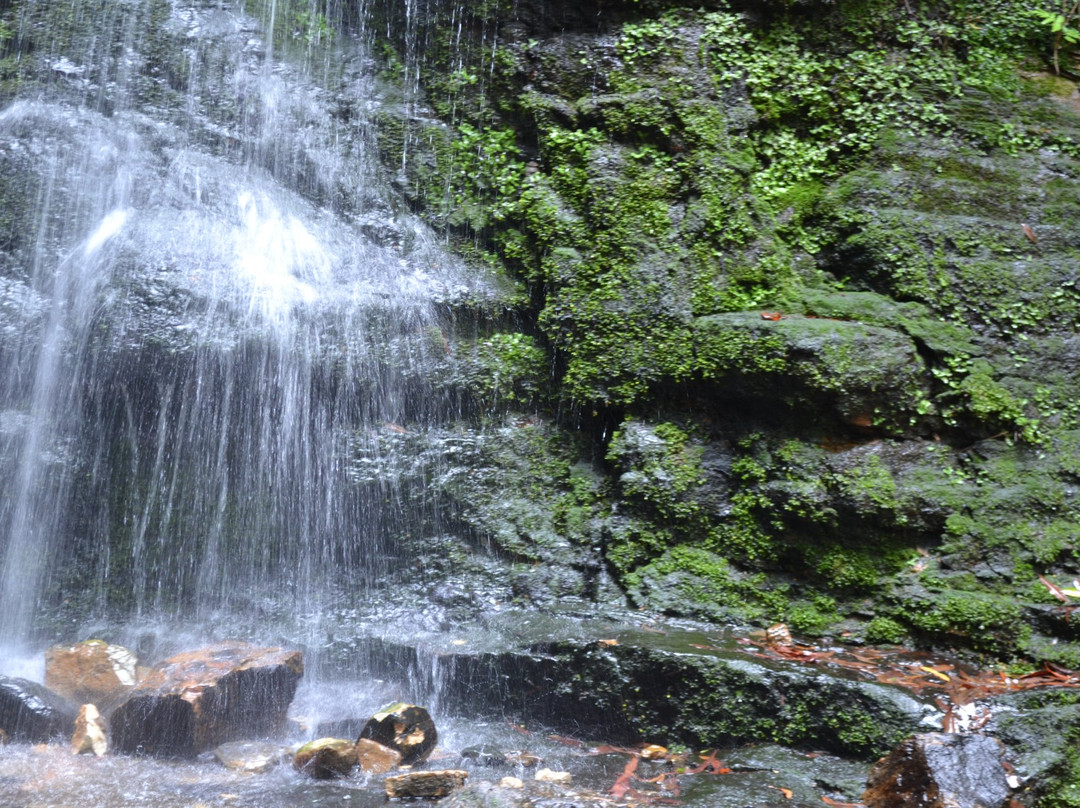 Bundanoon旅游攻略图片