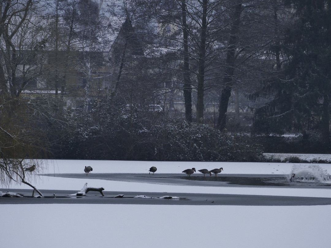 Kurpark Bad König-Bad Konig必去景点