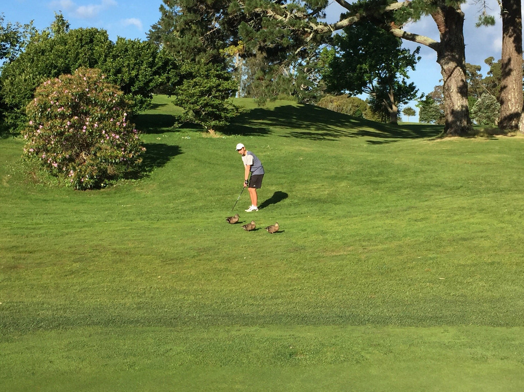 North Shore Golf Club-奥尔巴尼必去景点