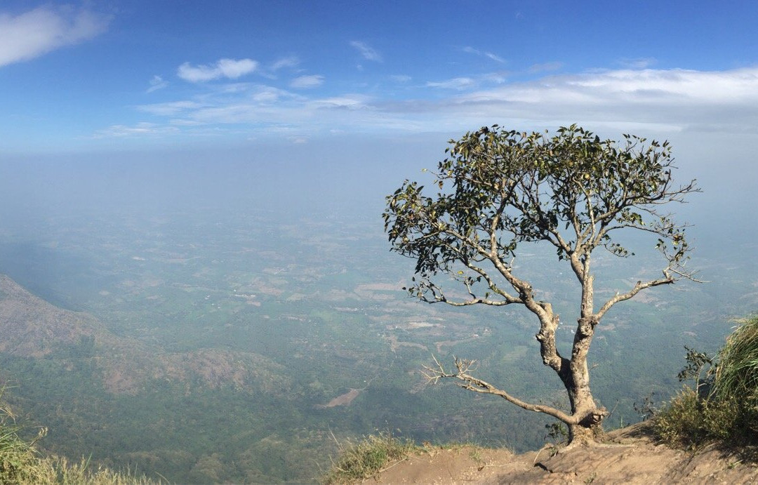 Poabs Organic Estates-Nelliyampathy必去景点