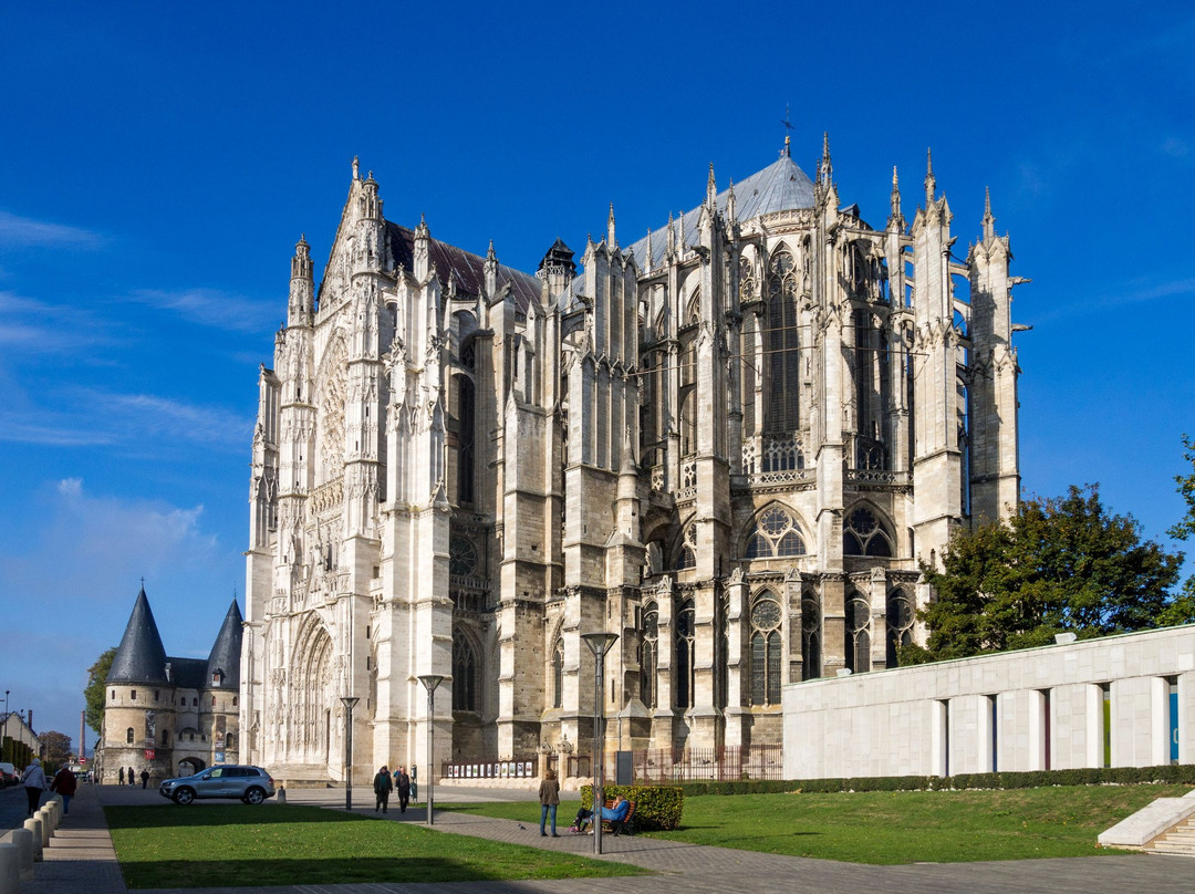 Cathedrale Saint-Pierre景点图片