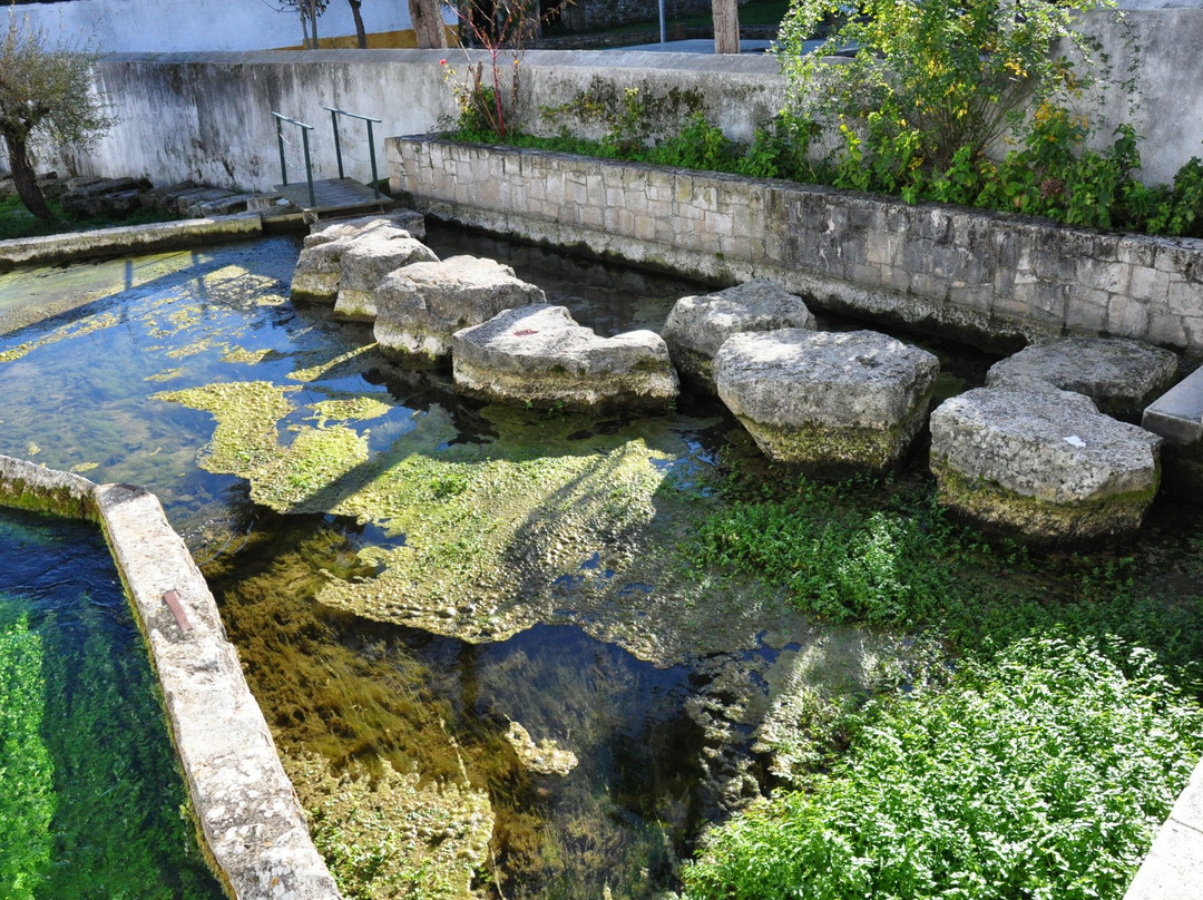 Piscina Natural de Ançã景点图片