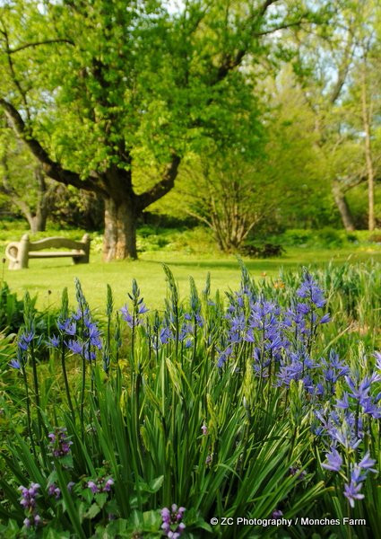 Monches Flower Farm-Colgate必去景点