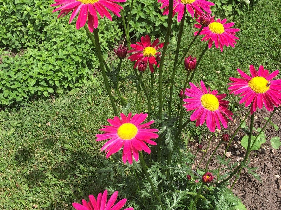 Waseda Farms-Baileys Harbor必去景点