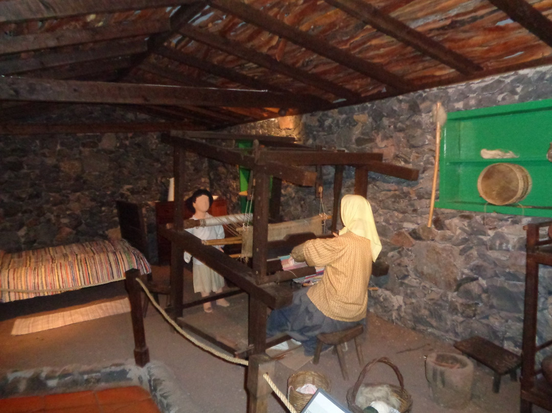 Tenerife Trips - Day Tours-奥德杰海岸必去景点