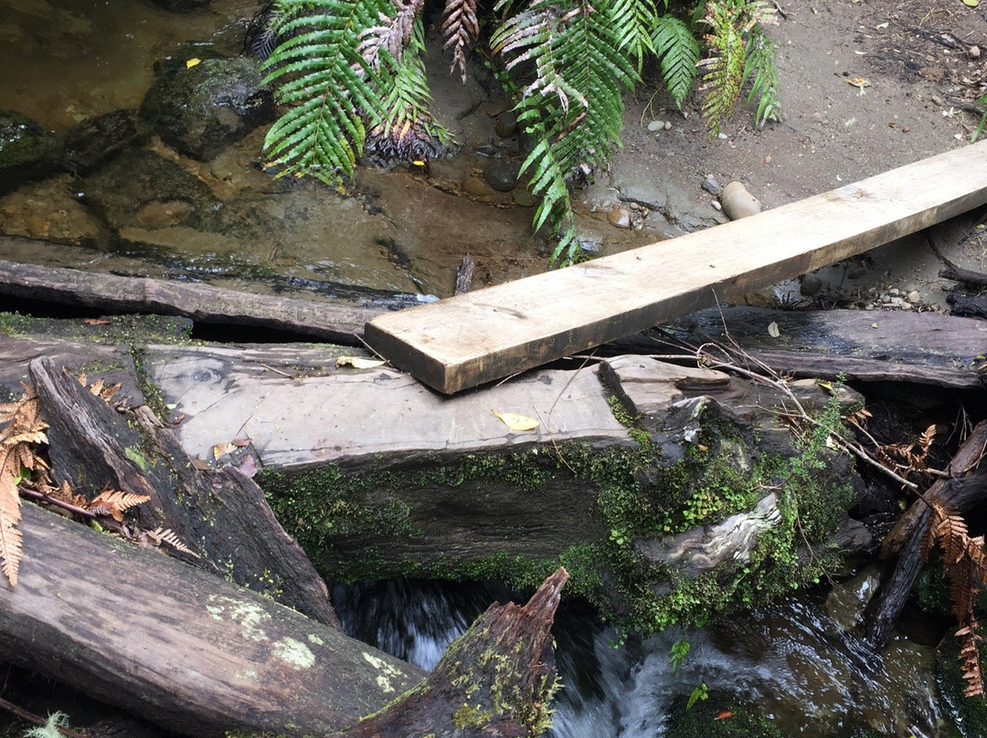 Tupapakurua Falls Lookout-National Park Village必去景点