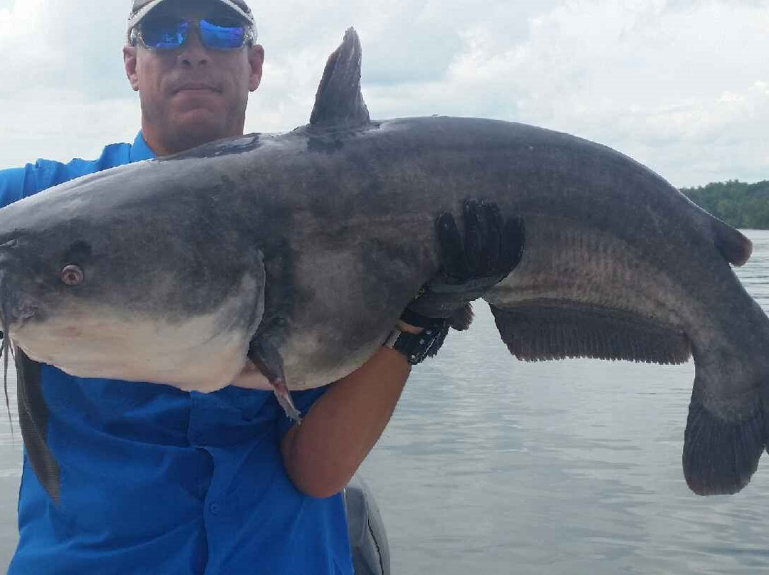 Big Tennessee Adventures-Spring City必去景点