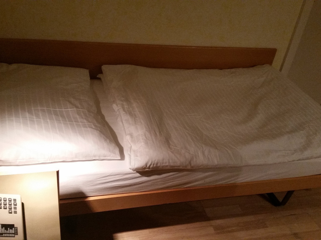 Hotel Schlussel Binningen主图