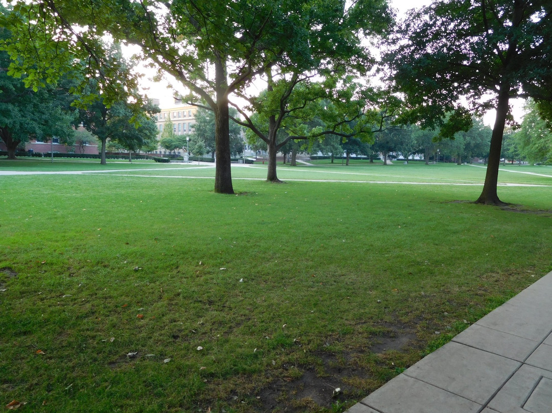University of Illinois Main Quad-厄巴纳必去景点