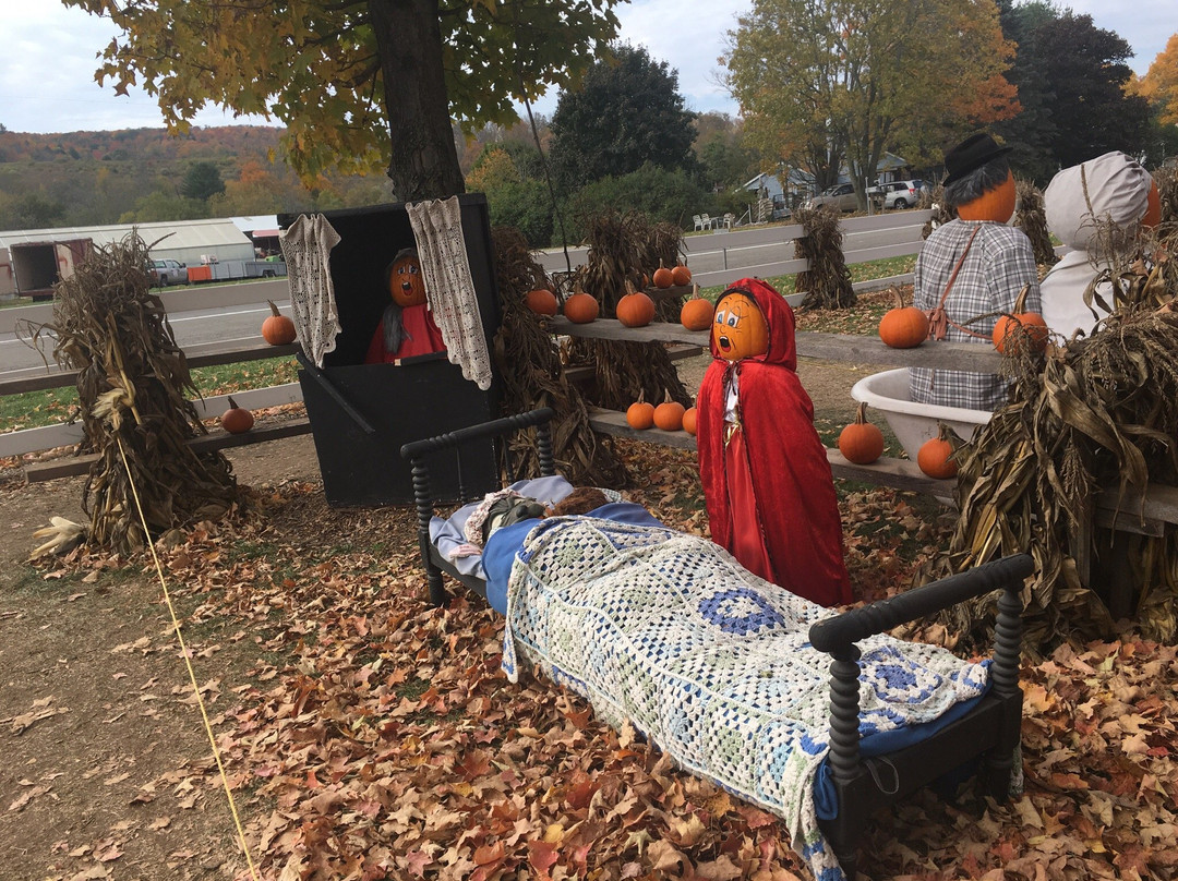 Iron Kettle Farm-Candor必去景点