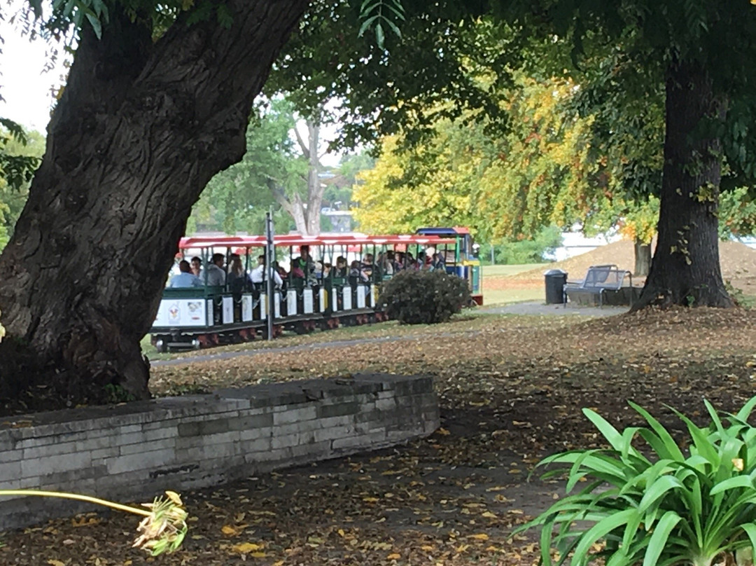 Kleinbahn im Rheinpark-科隆必去景点