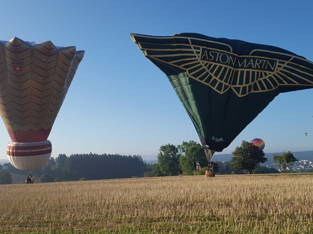 Warsteiner internationale Montgolfiade景点图片