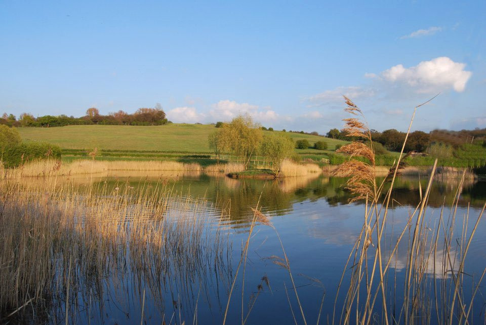 Picks Cottage Fishery Ltd-伦敦必去景点