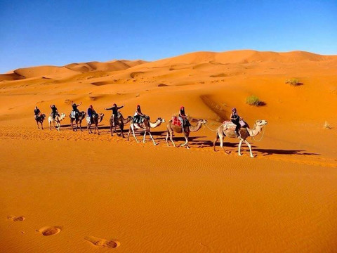 Berber Camp Merzouga-非斯必去景点