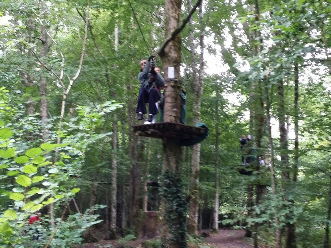 Zipit Forest Adventures-Boyle必去景点