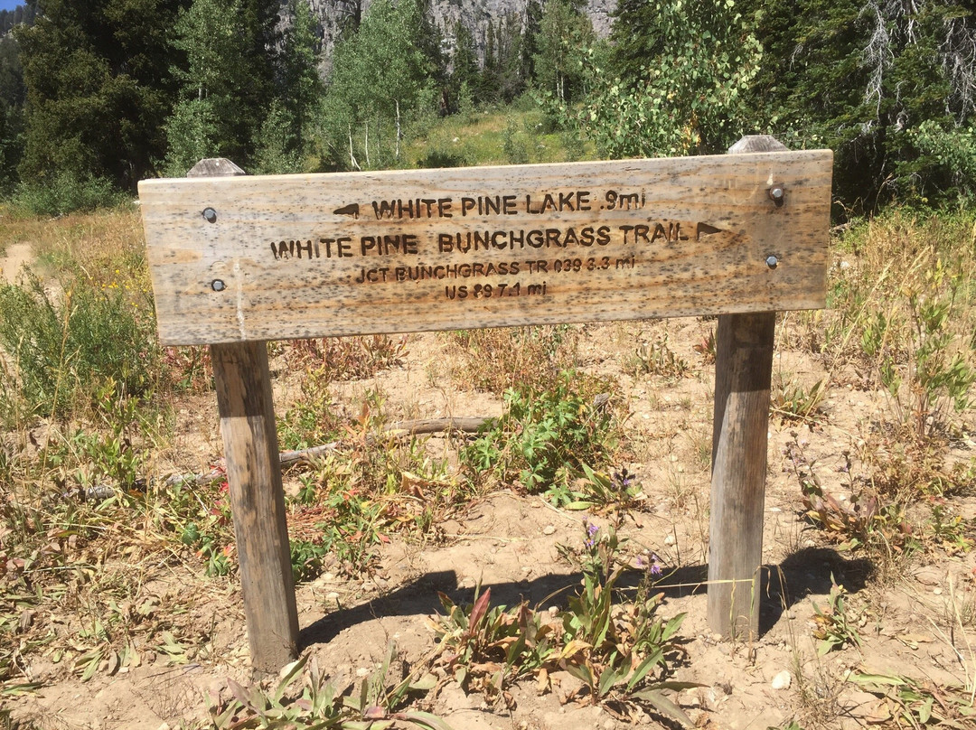 White Pine Lake-洛根必去景点