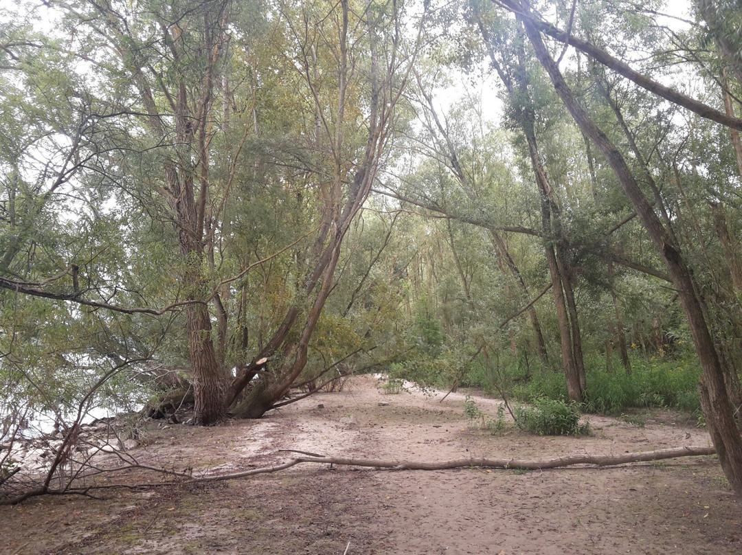 Rettbergsaue Schierstein景点图片