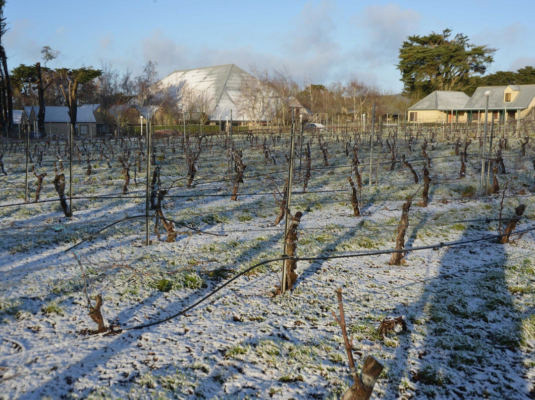 Cope-Williams Winery-Romsey必去景点