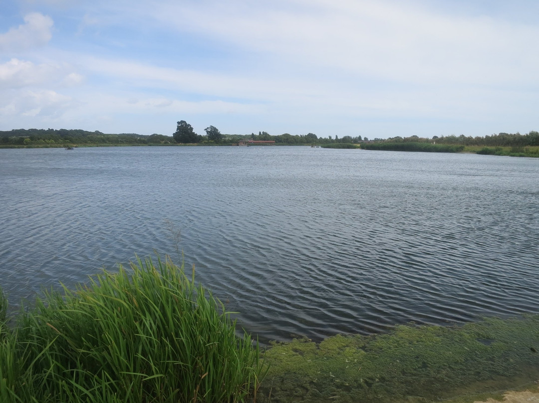 Longham Lakes景点图片