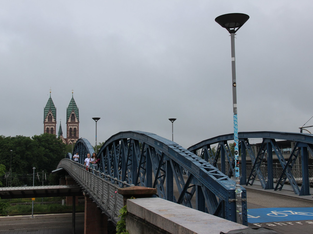 Wiwilibrucke Blaue Brucke-佛莱堡必去景点