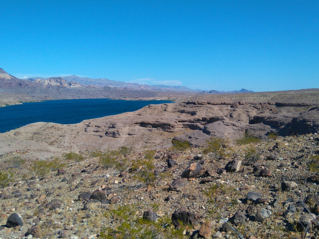 Nelson's Landing Cliff Jumping-Nelson必去景点