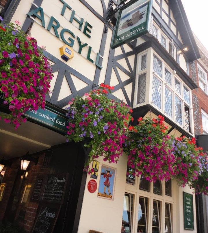 Henley on Thames Midsomer guided Walking tours景点图片