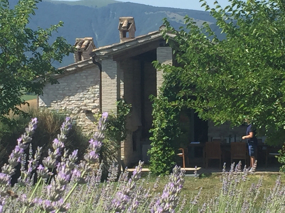 Agriturismo Molleone主图